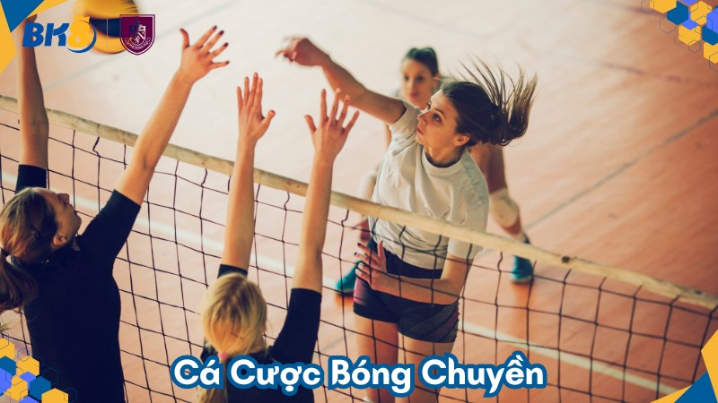 Cá cược bóng chuyền: Tổng hợp luật chơi và kèo cược chi tiết